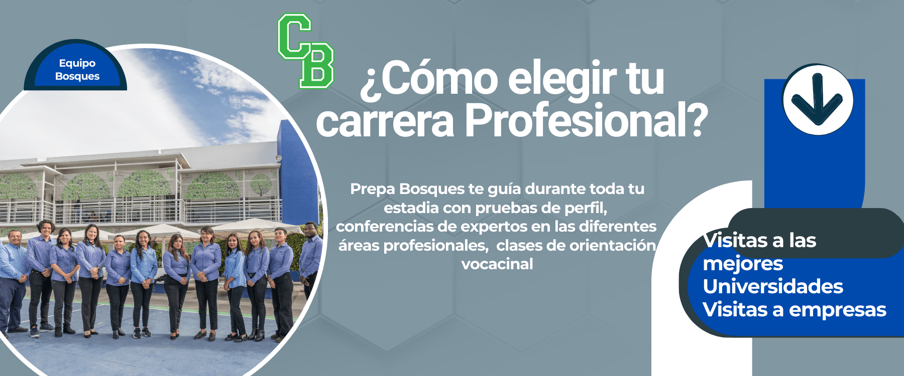 colegio, bosques, preparatoria, carrera, profesional