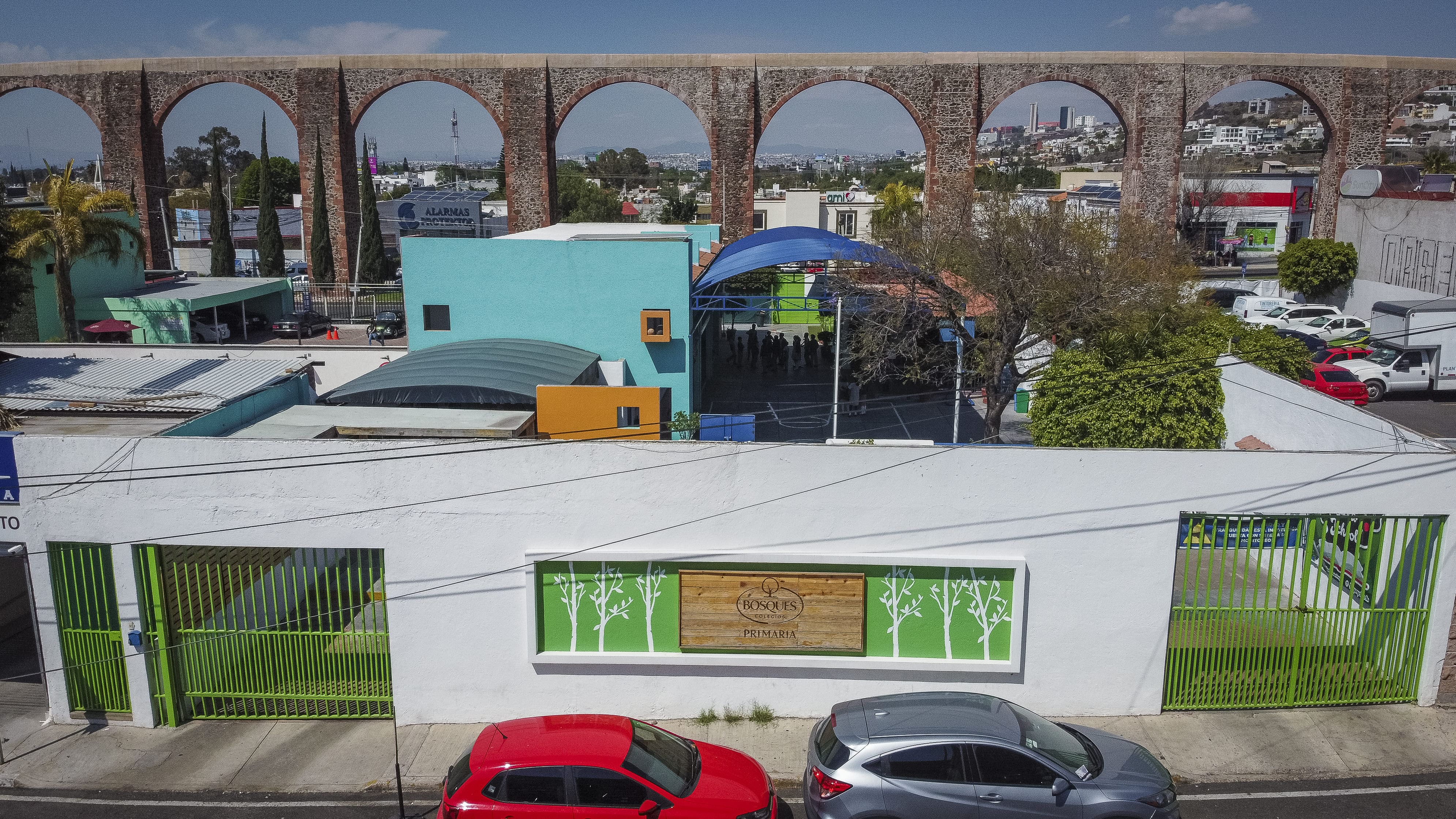 colegio, bosques, primaria, educación, escuela, calidad